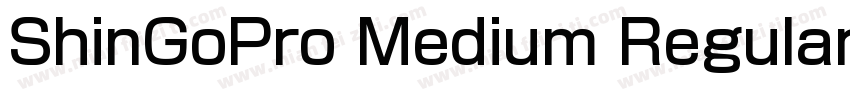 ShinGoPro Medium Regular字体转换